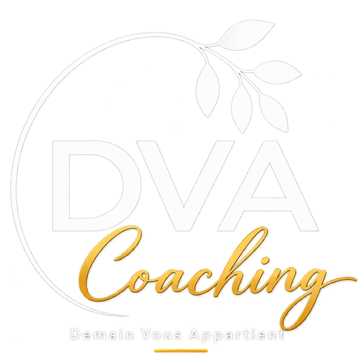 Logo DVA Coaching transparent – coaching professionnel et formation Béziers